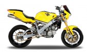 2011 Highland 950cc Viking photo